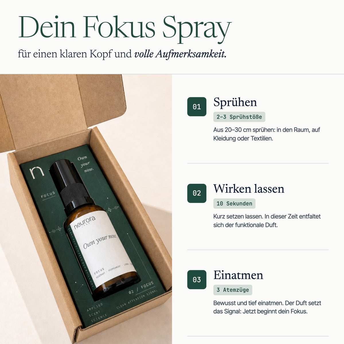FOCUS · Komplett-Set