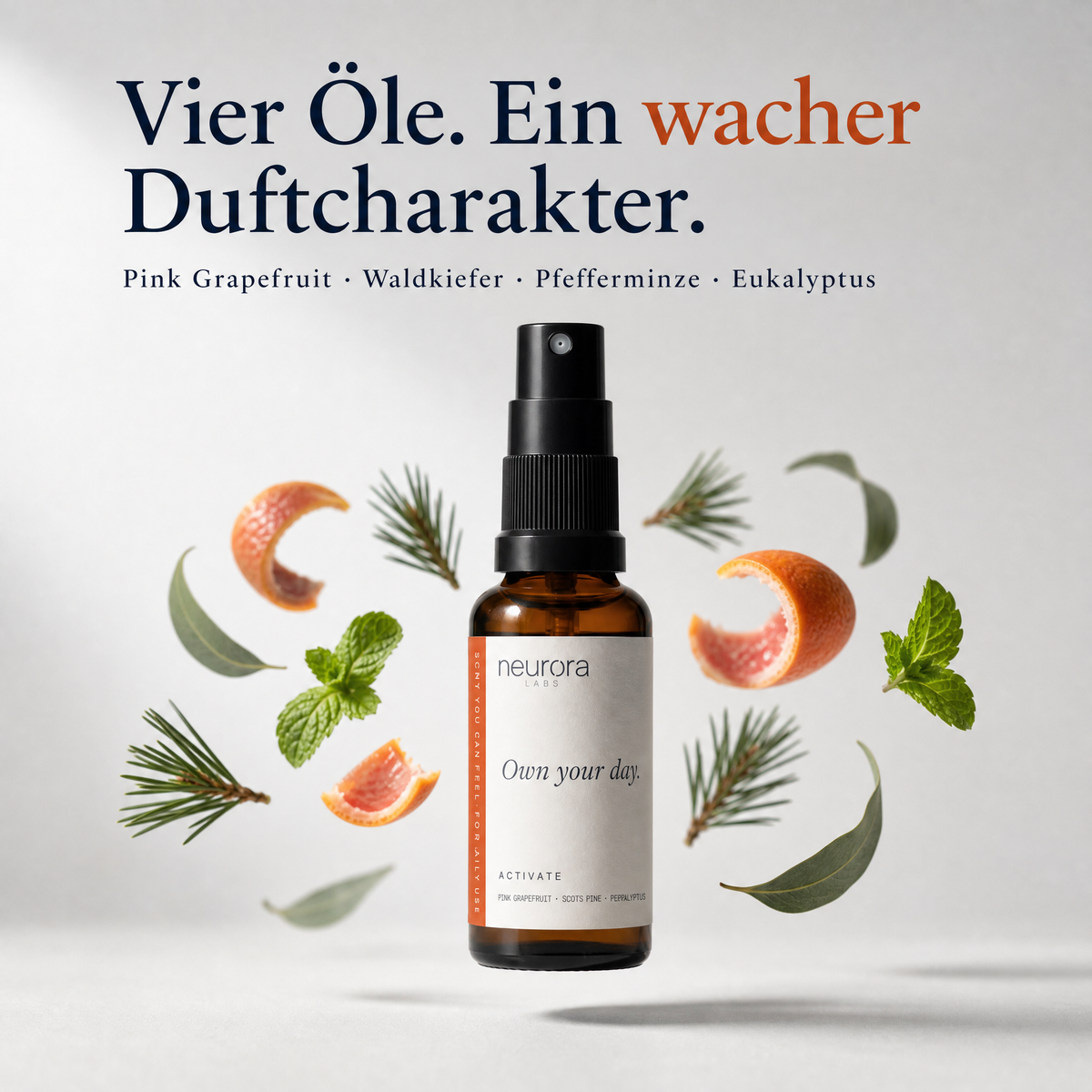 ACTIVATE · Komplett-Set