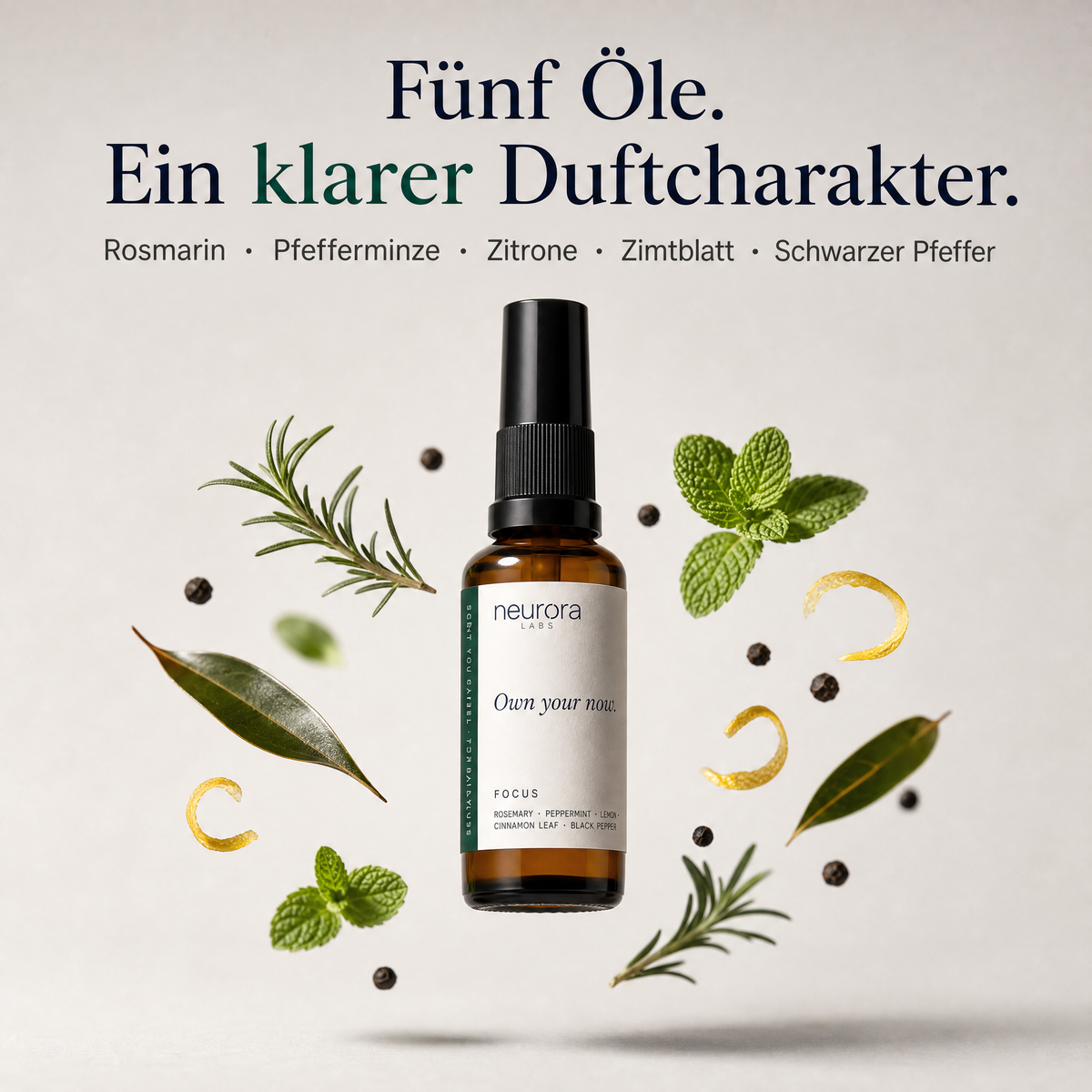 FOCUS · Komplett-Set