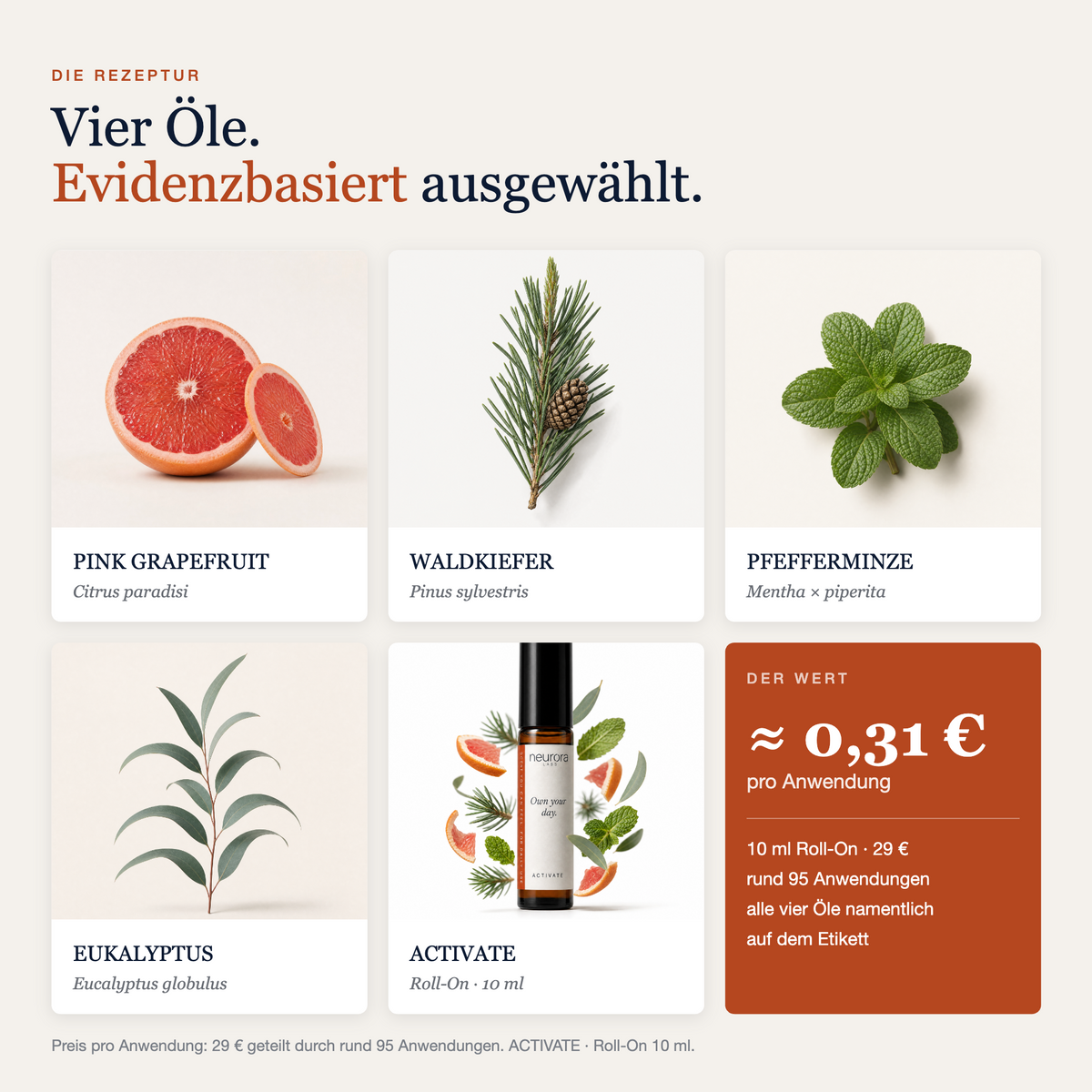 ACTIVATE · Komplett-Set