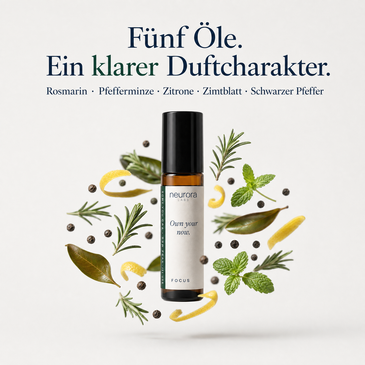 FOCUS · Roll-On