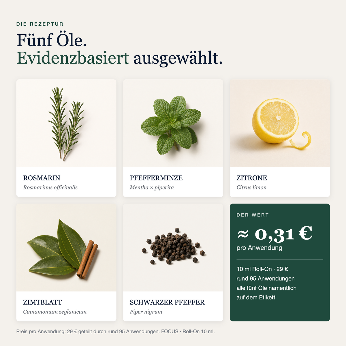 FOCUS · Komplett-Set
