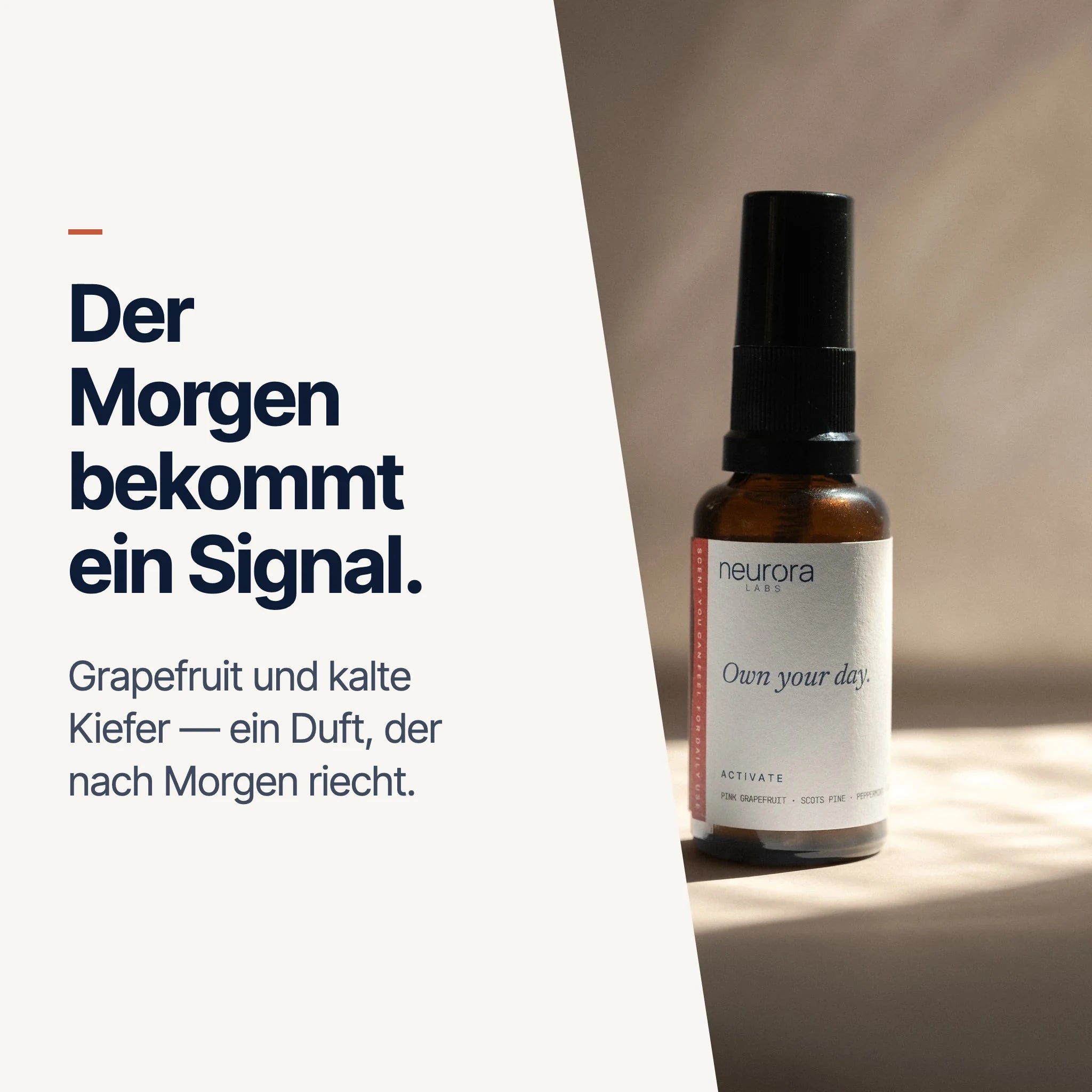 Der Morgen bekommt ein Signal — Grapefruit und kalte Kiefer