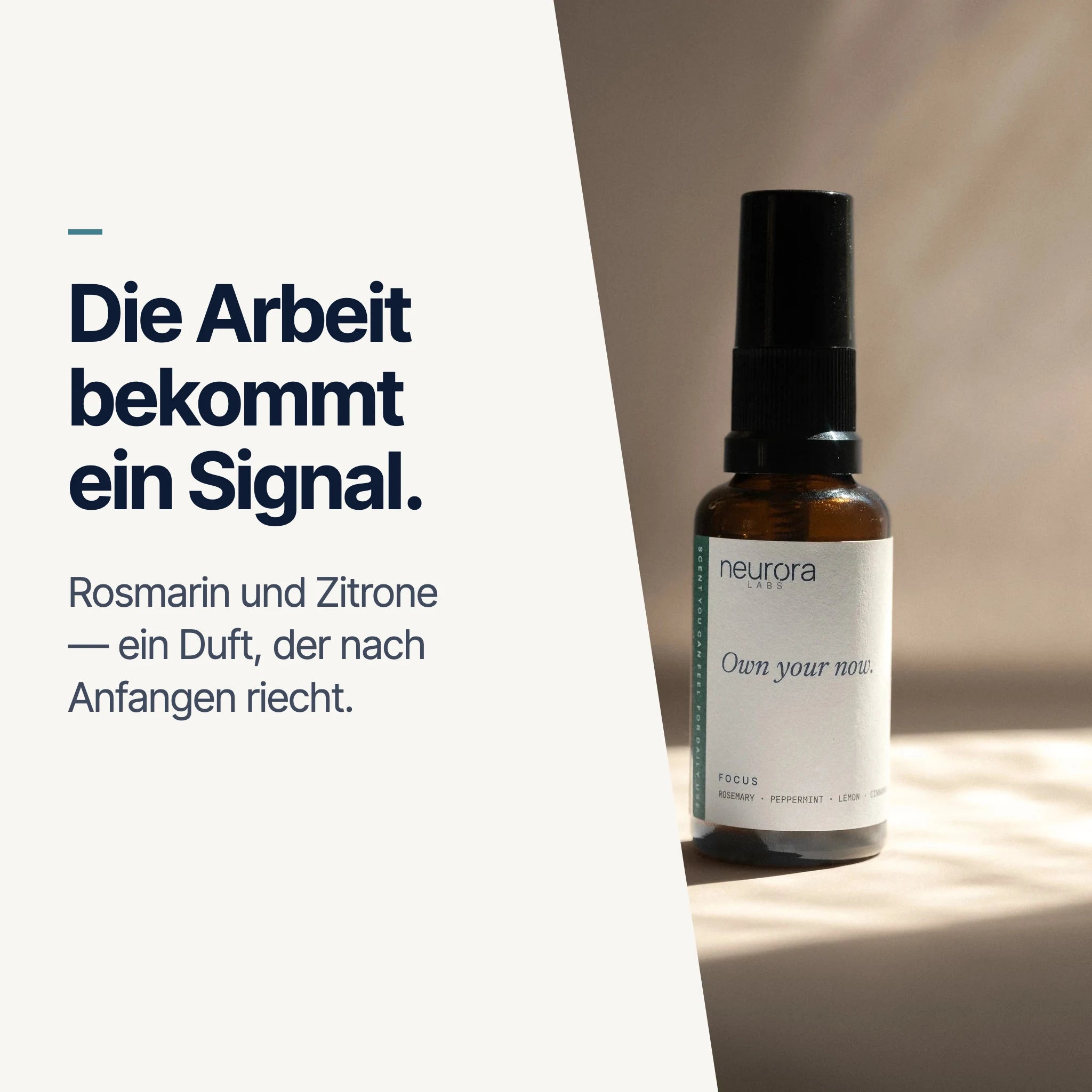 Die Arbeit bekommt ein Signal — Rosmarin und Zitrone, FOCUS im Licht