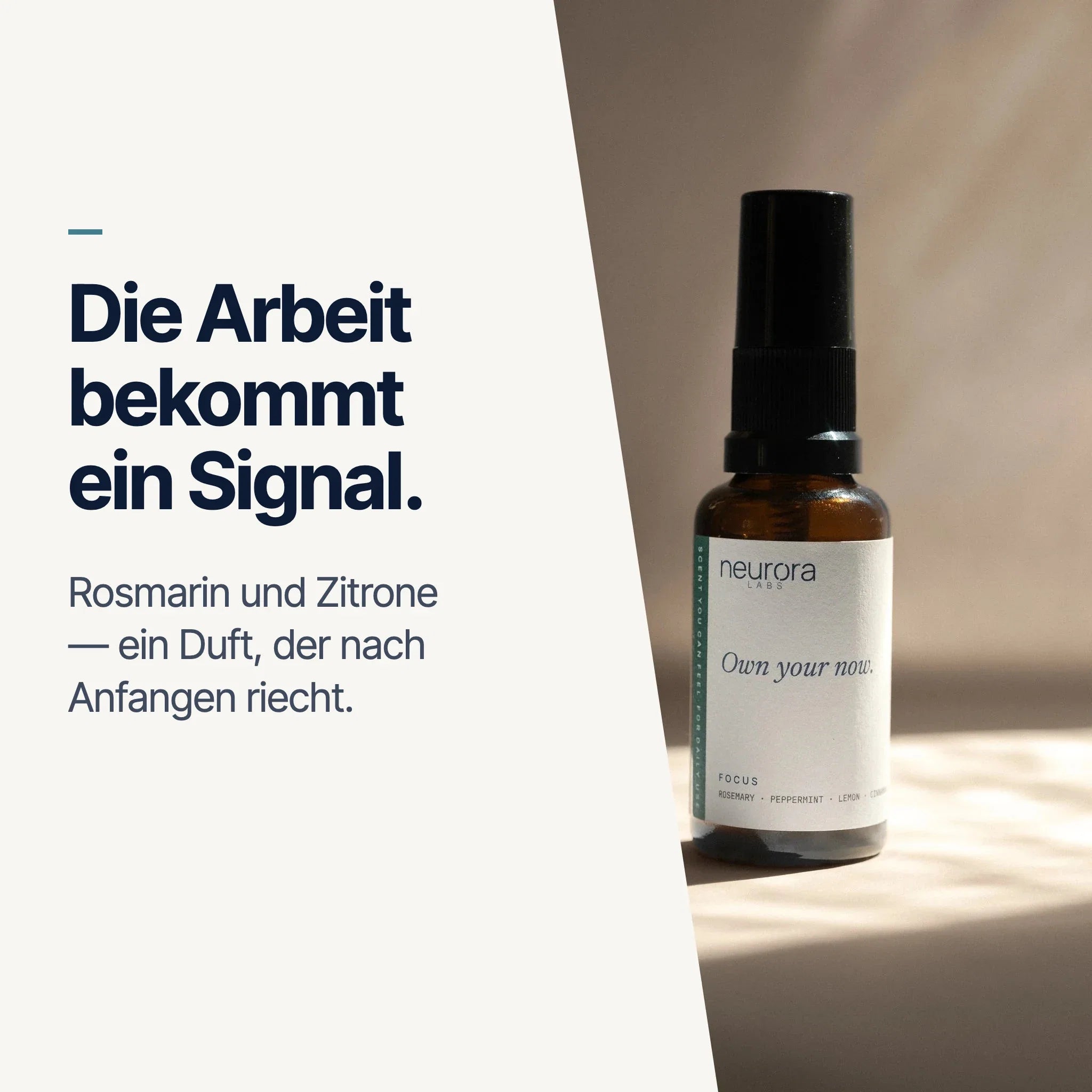 Der Fokus bekommt ein Signal — Rosmarin und Pfefferminze