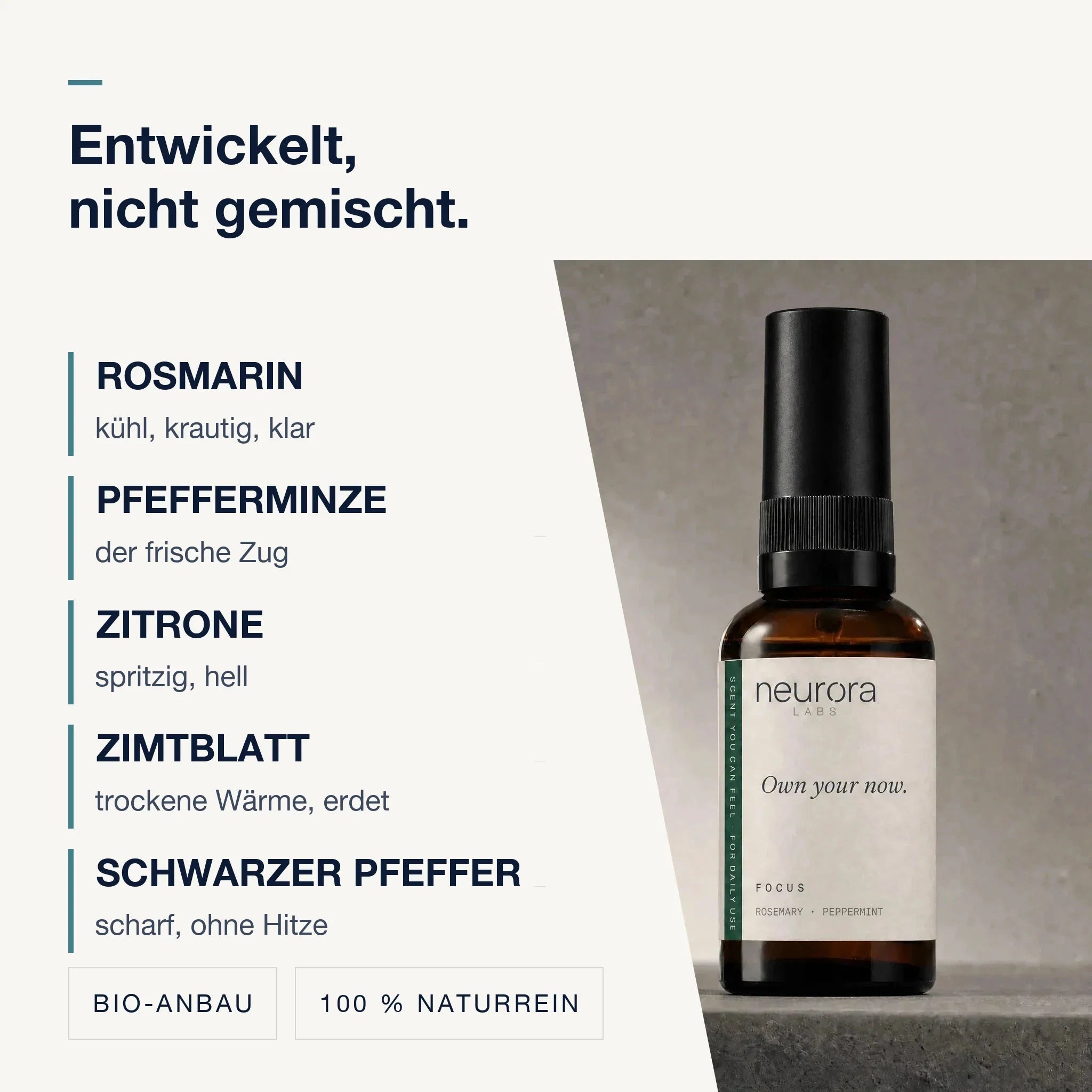 Entwickelt, nicht gemischt — Rosmarin, Pfefferminze, Zitrone, Zimtblatt, Schwarzer Pfeffer